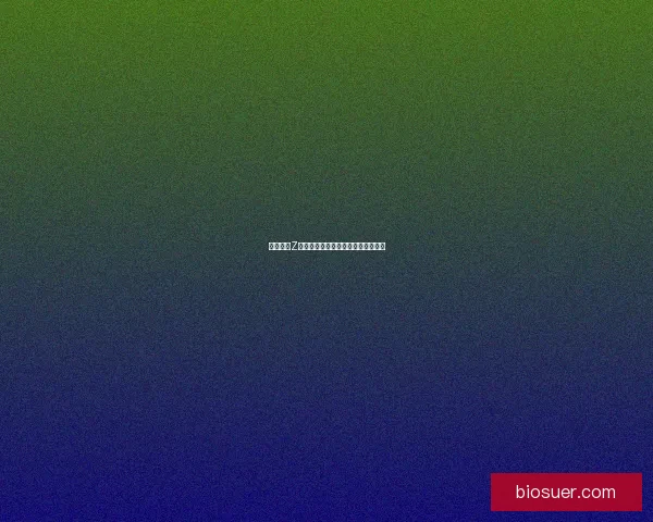 无双大蛇Z全角色攻略及最佳战术技巧全面解析