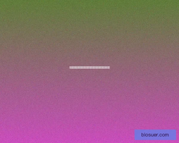 英雄联盟不同位置最优出装推荐解析助你轻松制霸召唤师峡谷