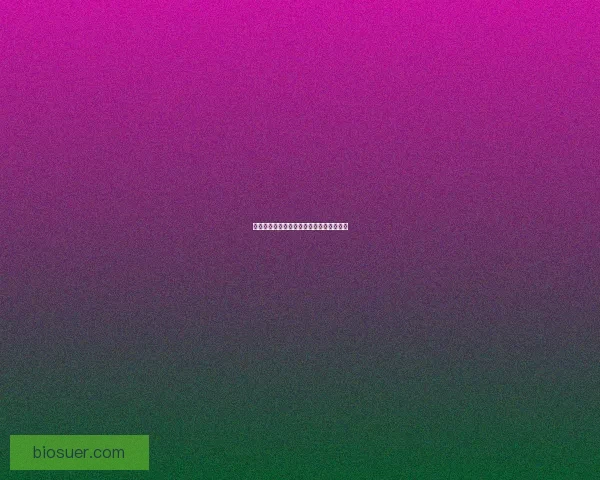 阴阳师金銮鹤羽新角色探秘与背景故事解析